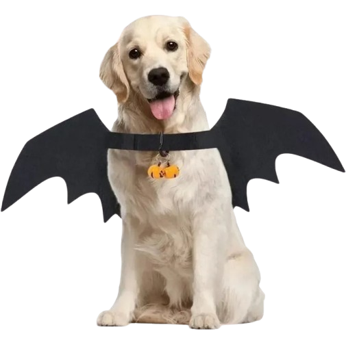 Bat Wings Pet Costume for Halloween