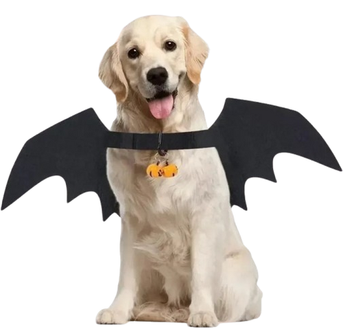 Bat Wings Pet Costume for Halloween