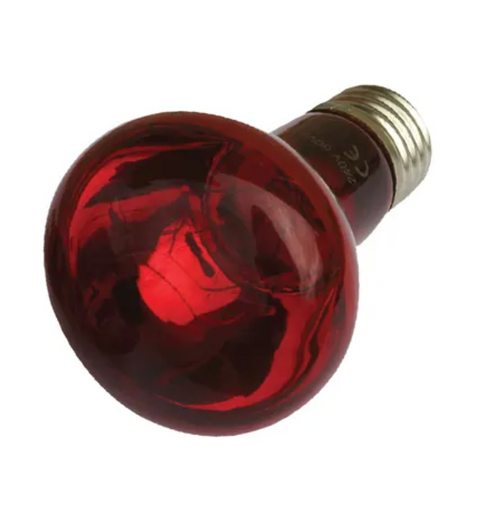 150w Infrared Heat Bulb available from RPBA Shop