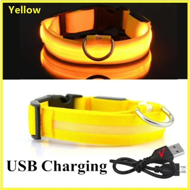 USB Rechargeable Light-Up Dog Collar