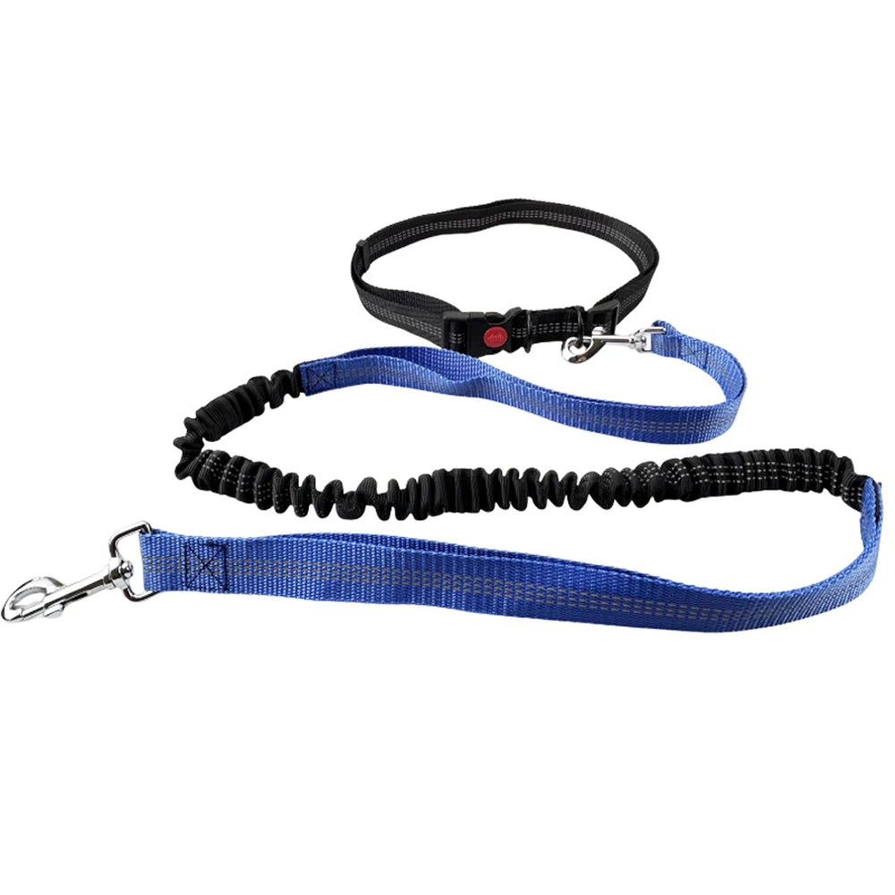 Hands-Free Reflective Dog Leash