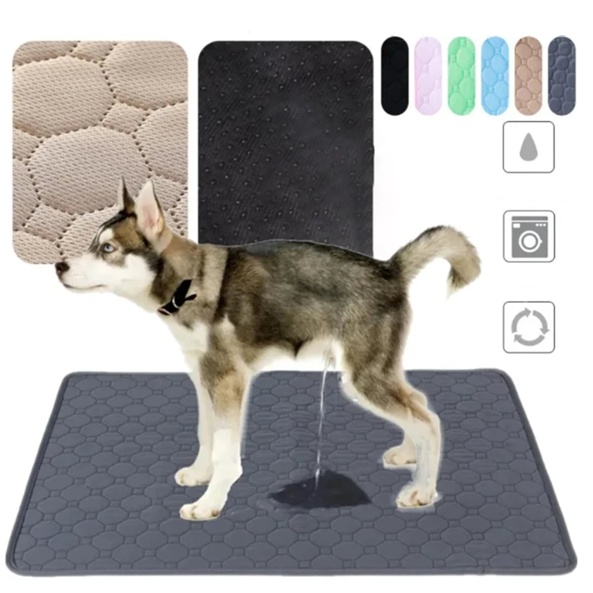 Absorbent Puppy Training Mat