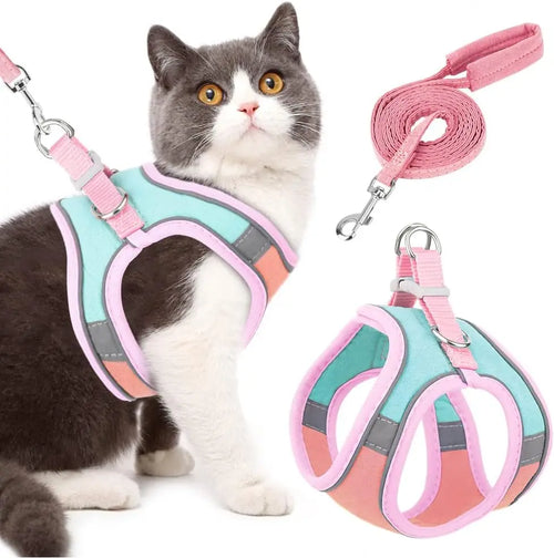 Adjustable Reflective Pet Harness Set for Australian cats