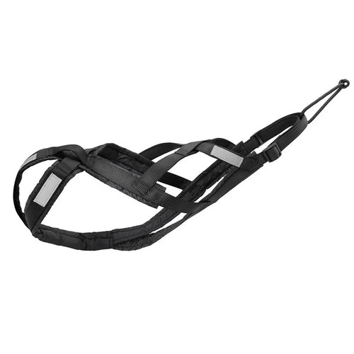 dog harness