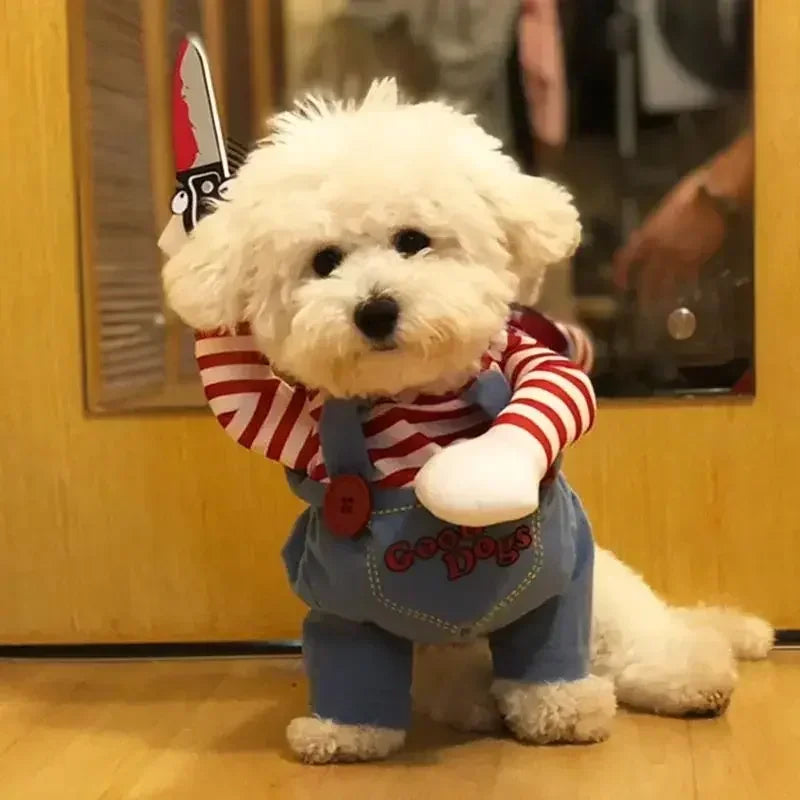 Dog in chucky outfit best sale