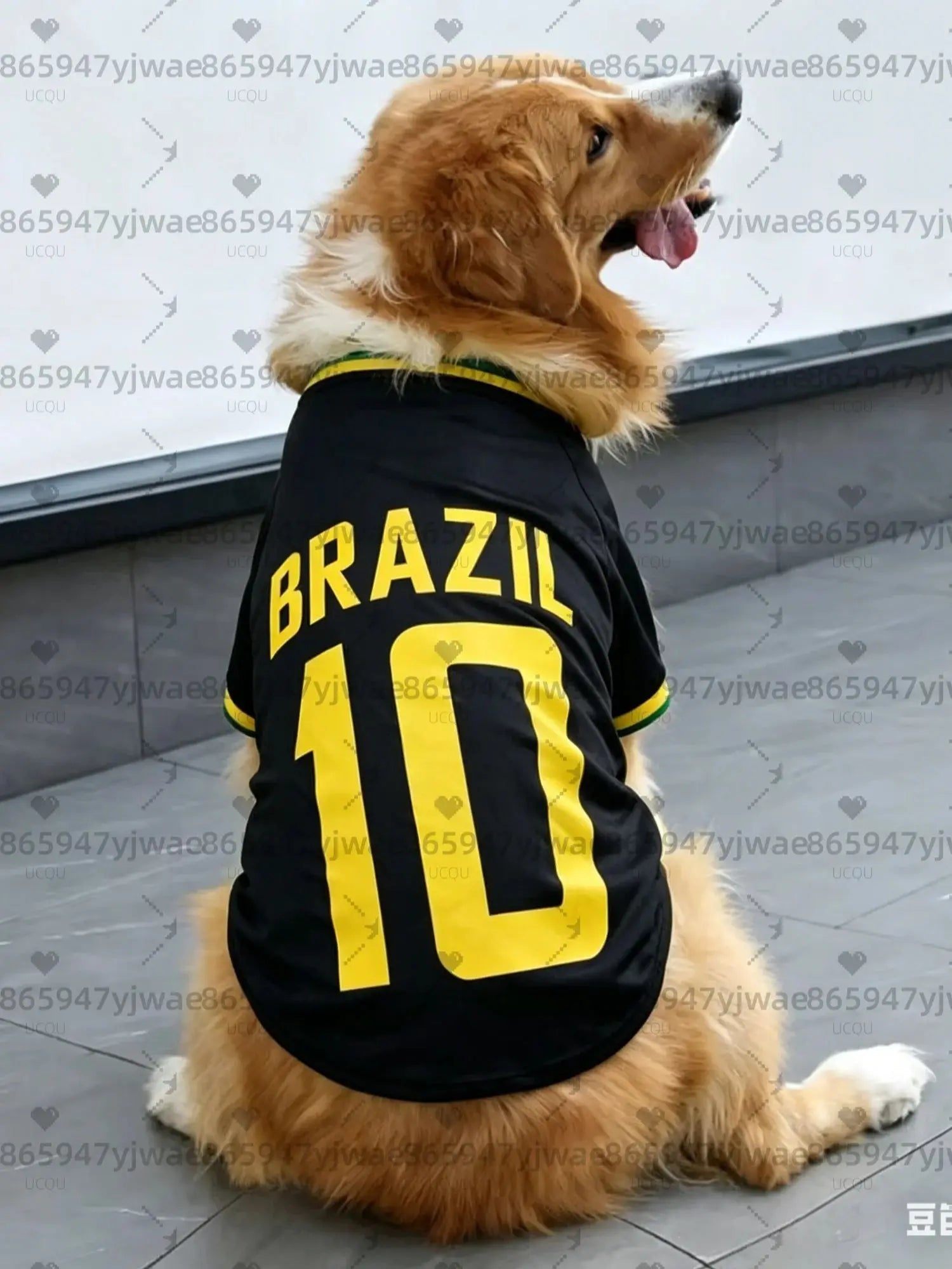 Brazil No.10 Dog Football Jersey
