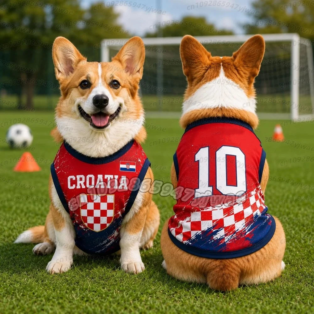 Croatia No.10 Pet Soccer Jersey