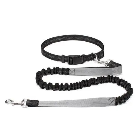 Hand Free Canicross Bungee Dog Leash