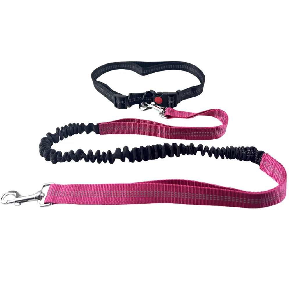 Hands-Free Reflective Dog Leash