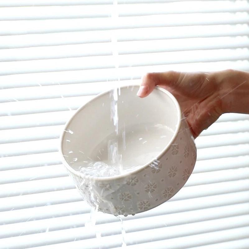 Elevated Dog Feeding Bowl Set