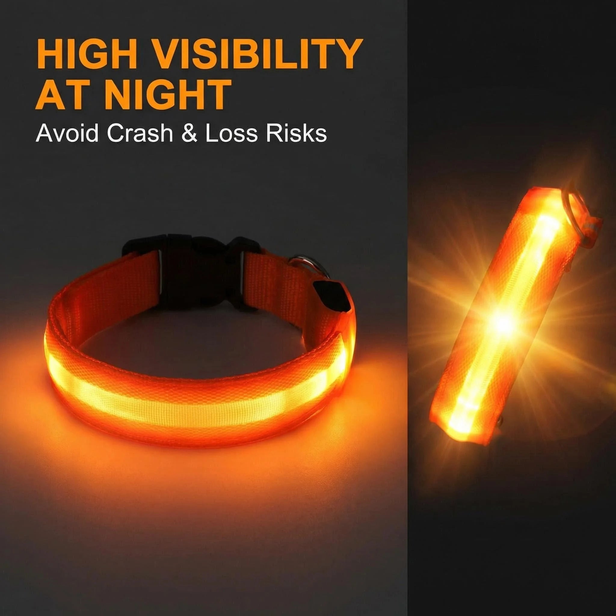 USB Rechargeable Light-Up Dog Collar