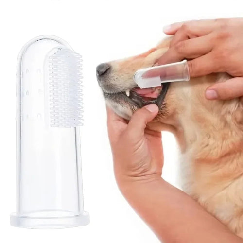 Clear silicone finger toothbrush standing upright on a white background, showing the soft nubbed brushing panel