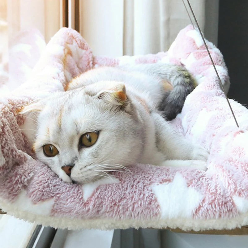 Cat Window Hammock Bed