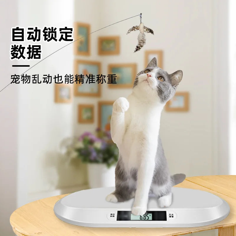 Precision Pet Weighing Scale