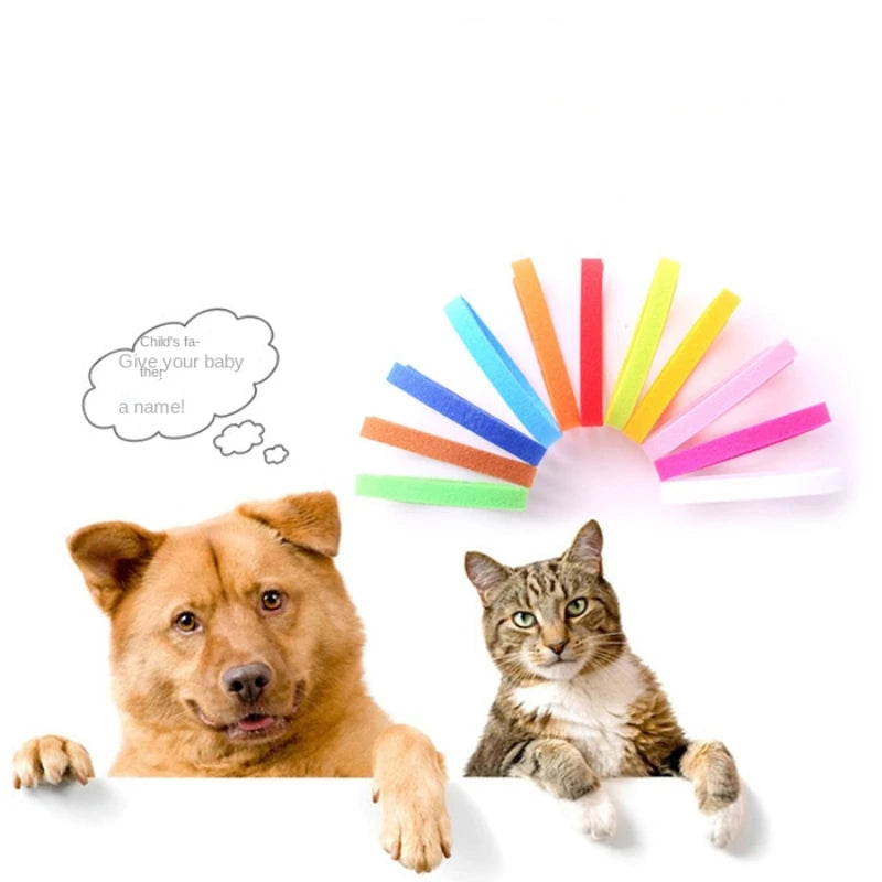 Hook and Loop Identification Pet Collar