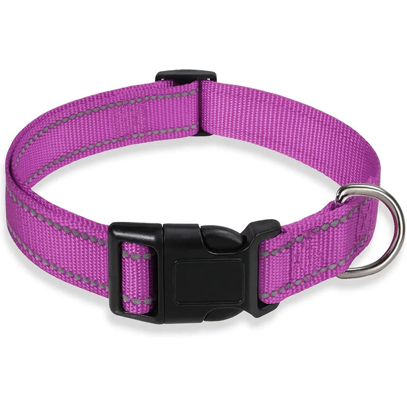 Dog Collar Strap With Adjustable Safety Nylon