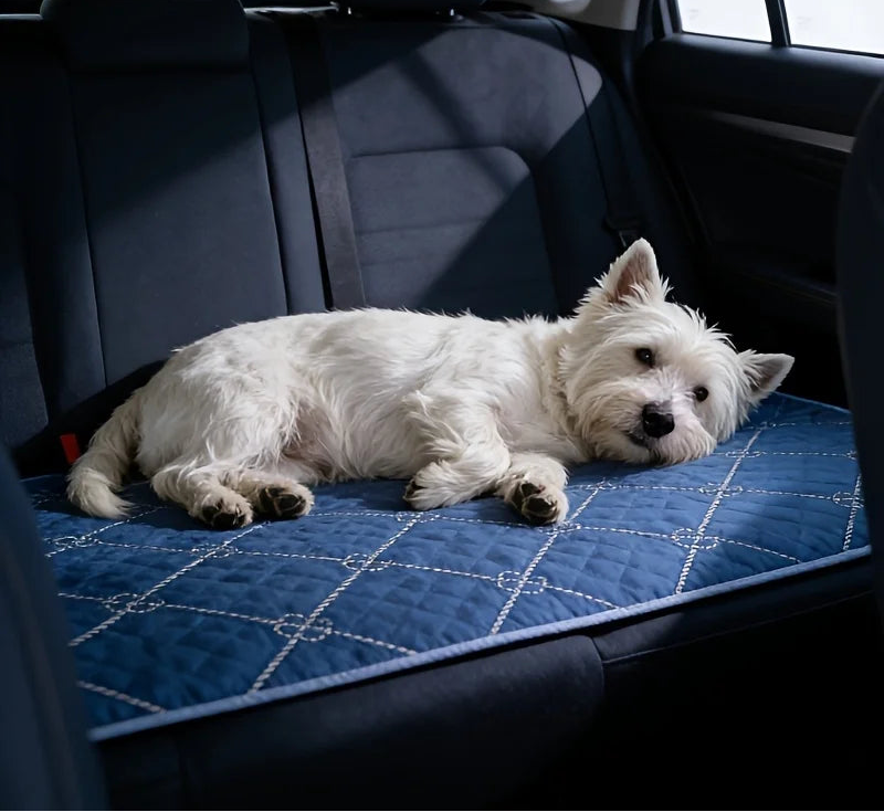 A further view of the Blue Washable Pet Training Urine Pads