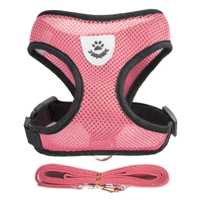 Adjustable Collar With Leash For Pets