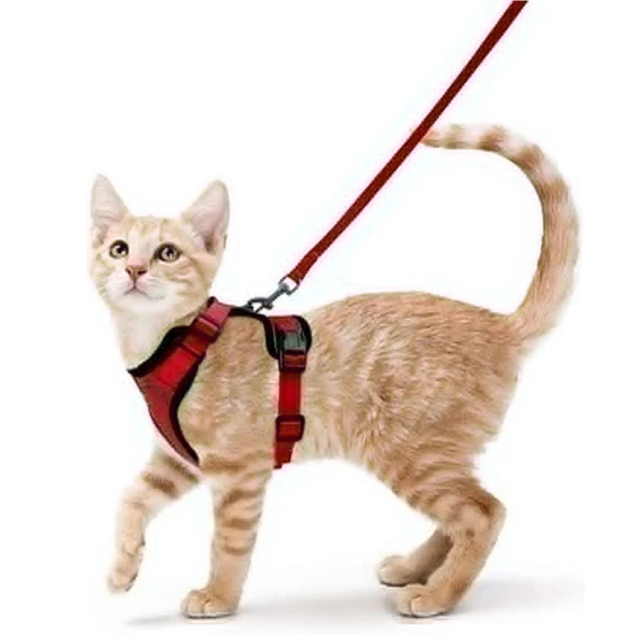 Adjustable Cat Harness and Leash Set