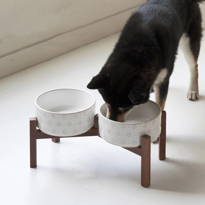 Elevated Dog Feeding Bowl Set