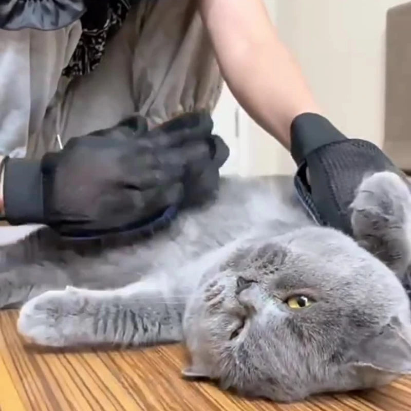 Pets Hair Grooming Silicone Gloves