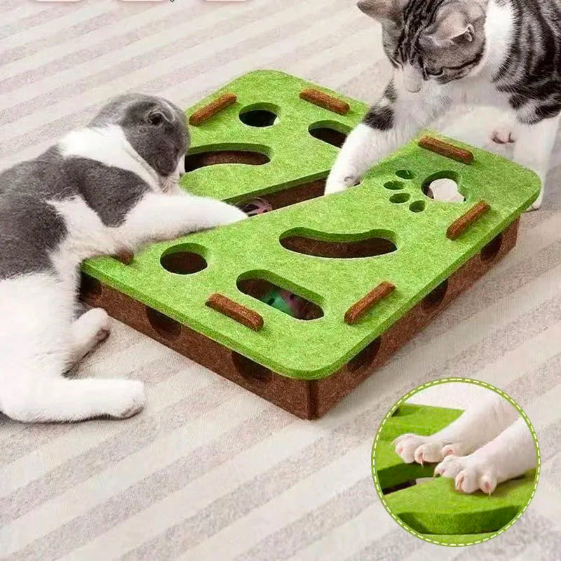 Kitten Interactive Play Set