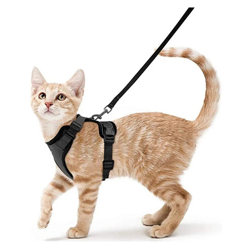Adjustable Cat Harness and Leash Set