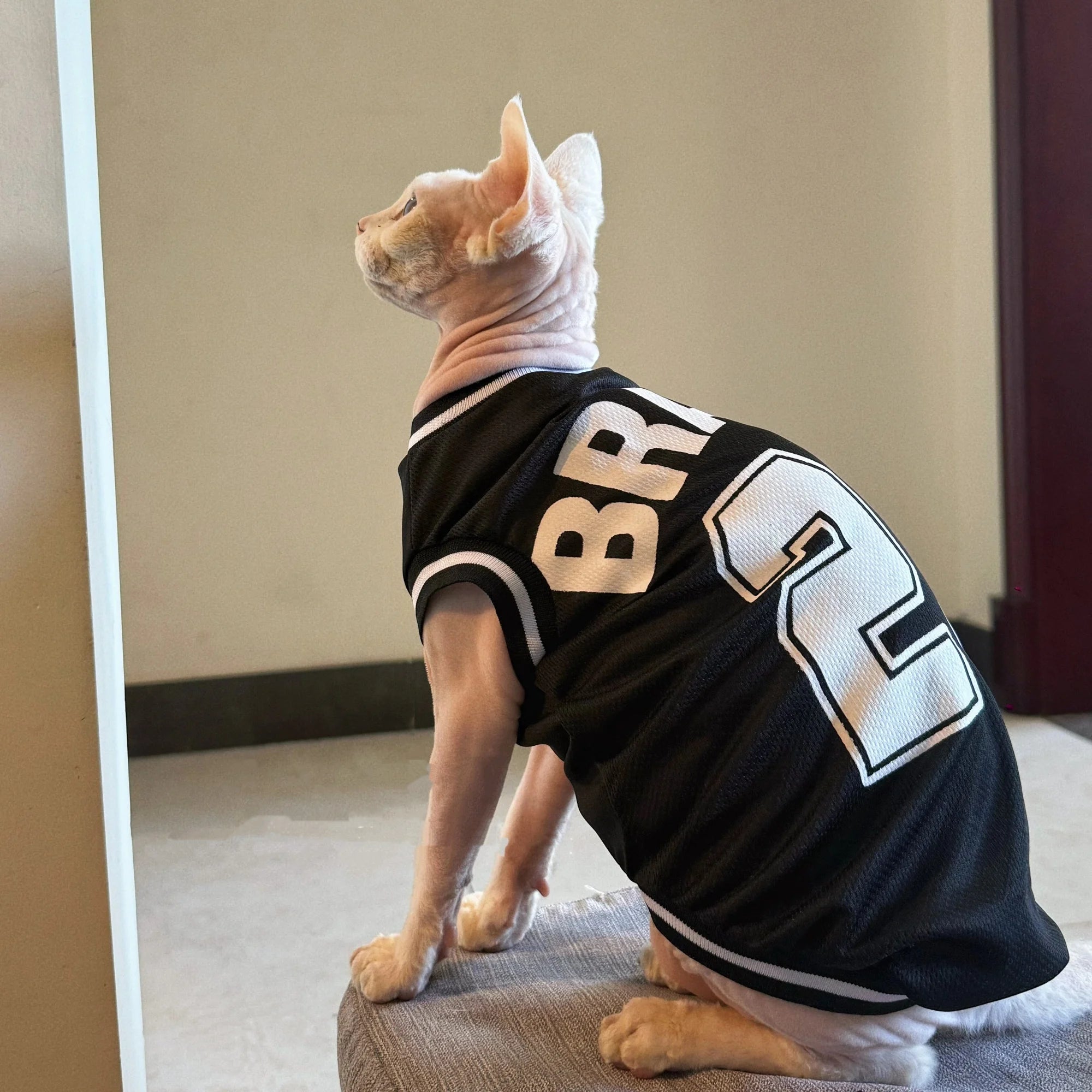 Breathable Sphynx Cat Soccer Jersey