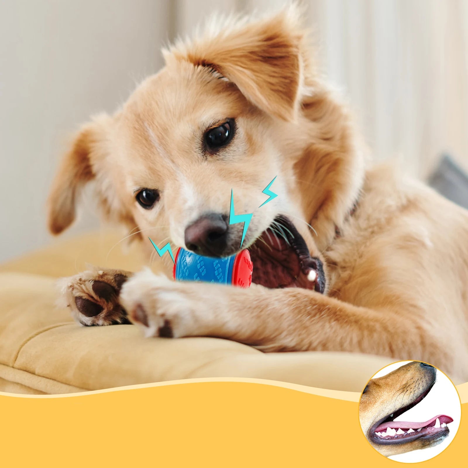 Interactive Bite Resistance Pet Ball Toys
