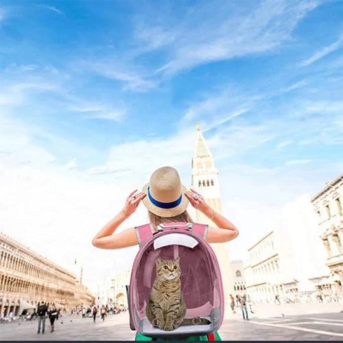 Pet Transparent Carrier Capsule Design Backpack