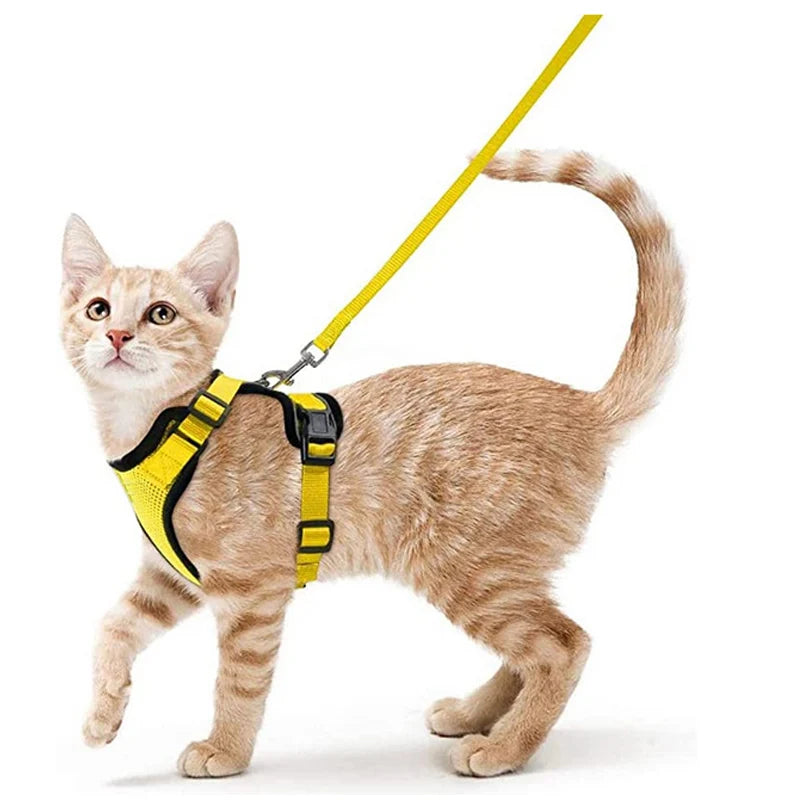 Adjustable Cat Harness and Leash Set