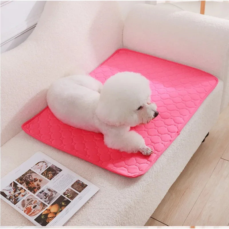 Reusable Pet Pee Blanket - RPBA Shop Australia