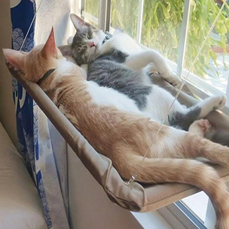 Cat Window Hammock Bed