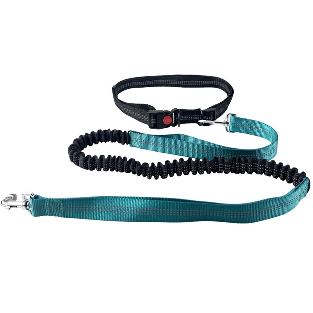 Hands-Free Reflective Dog Leash