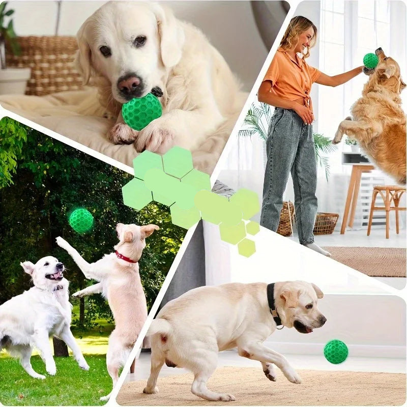 Natural Rubber Dog Chew Ball with Squeaker