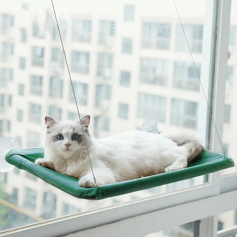 Cat Window Hammock Bed