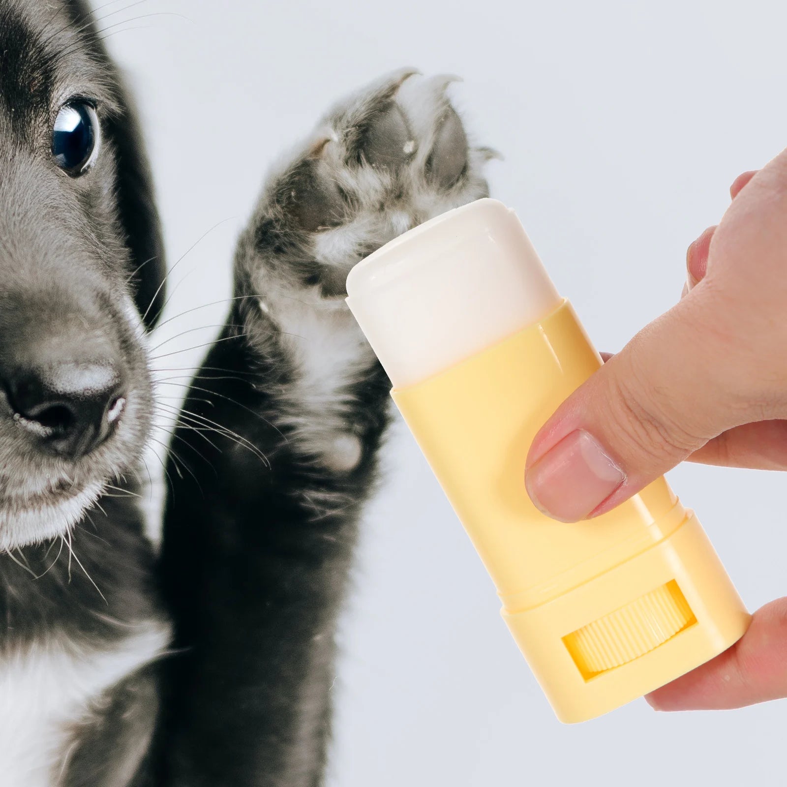 Dog Paw Protection Balm