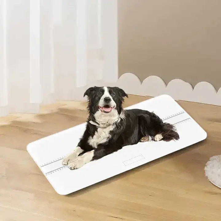 Large Precision Electronic Pet Scale