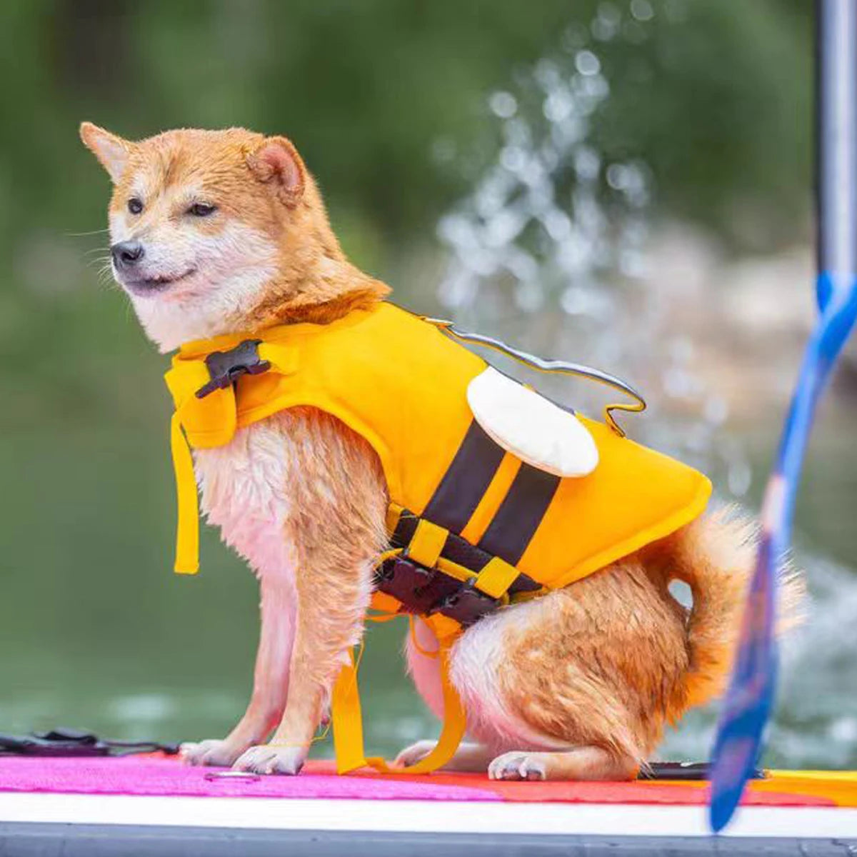 Dog Flotation Swim Vest