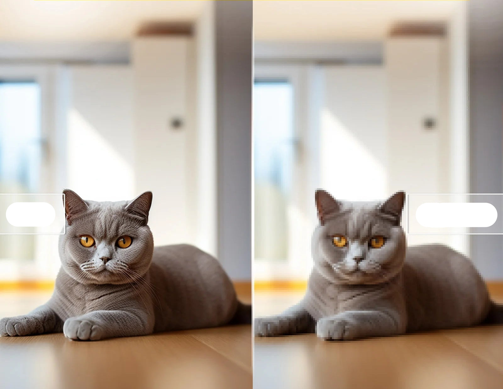 2 Pieces Surveillance Camera with Motion Detection