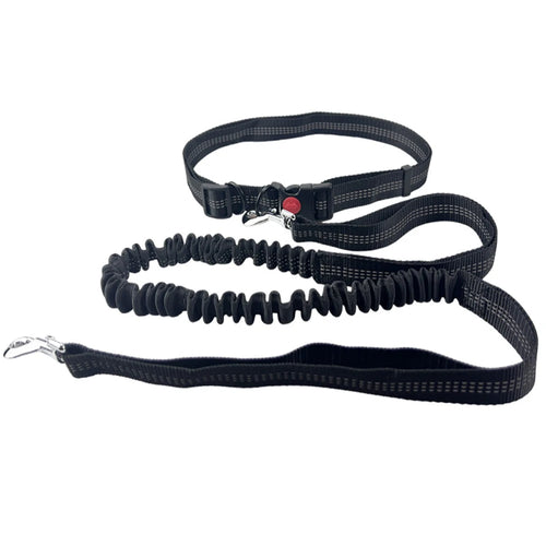 Hands-Free Reflective Dog Leash for dogs
