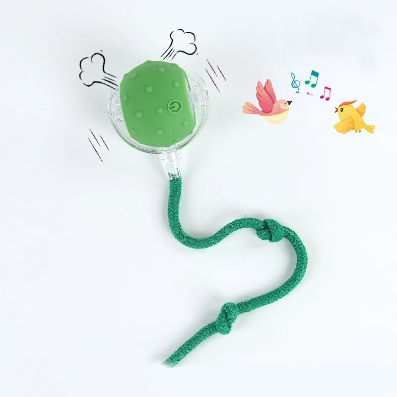 New Automatic Rolling Ball Toy for Cats