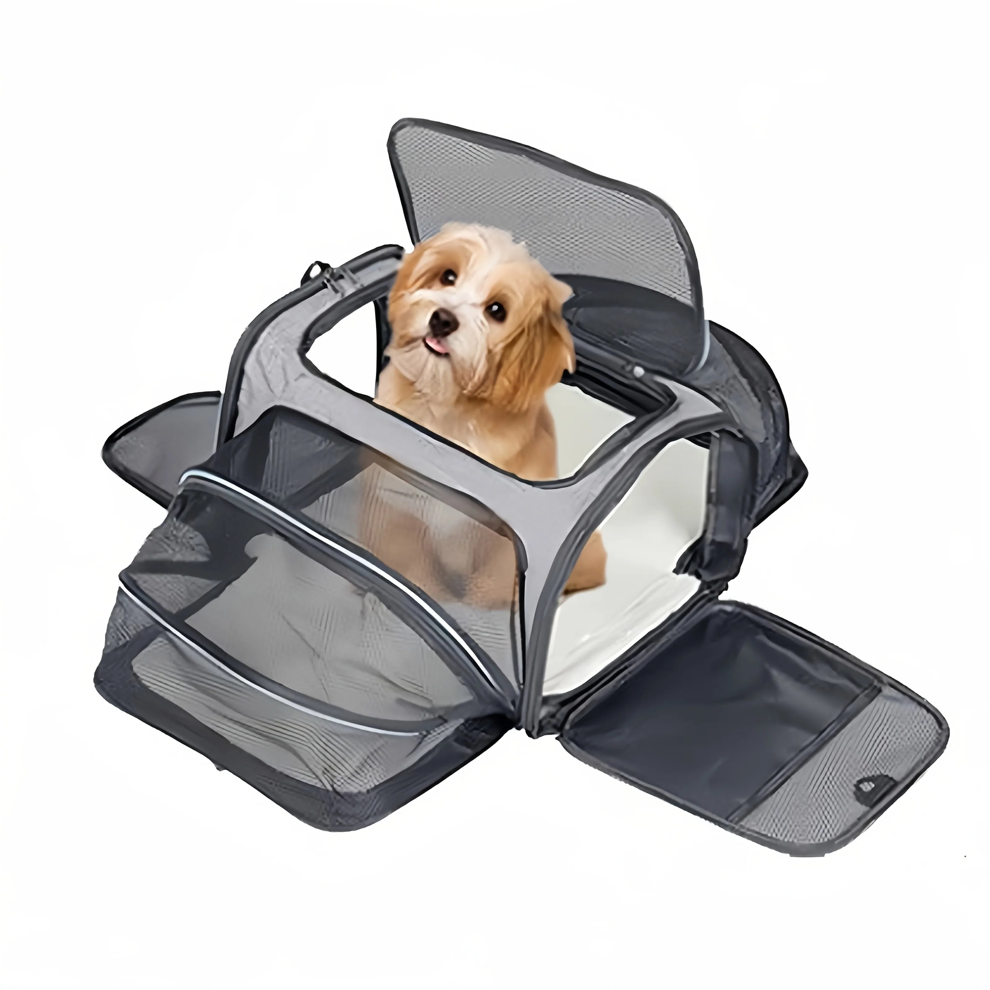 Pet Bag Mesh Carrier with Expansion