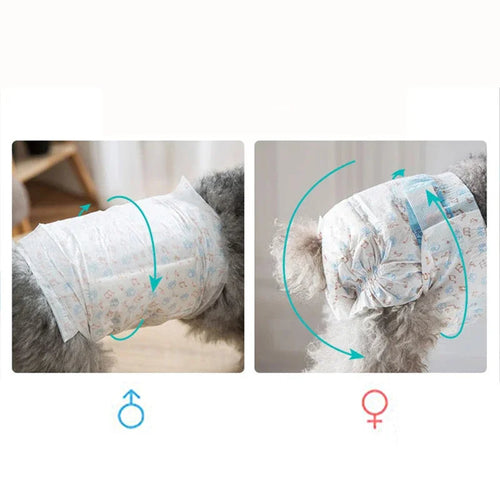 disposable diaper