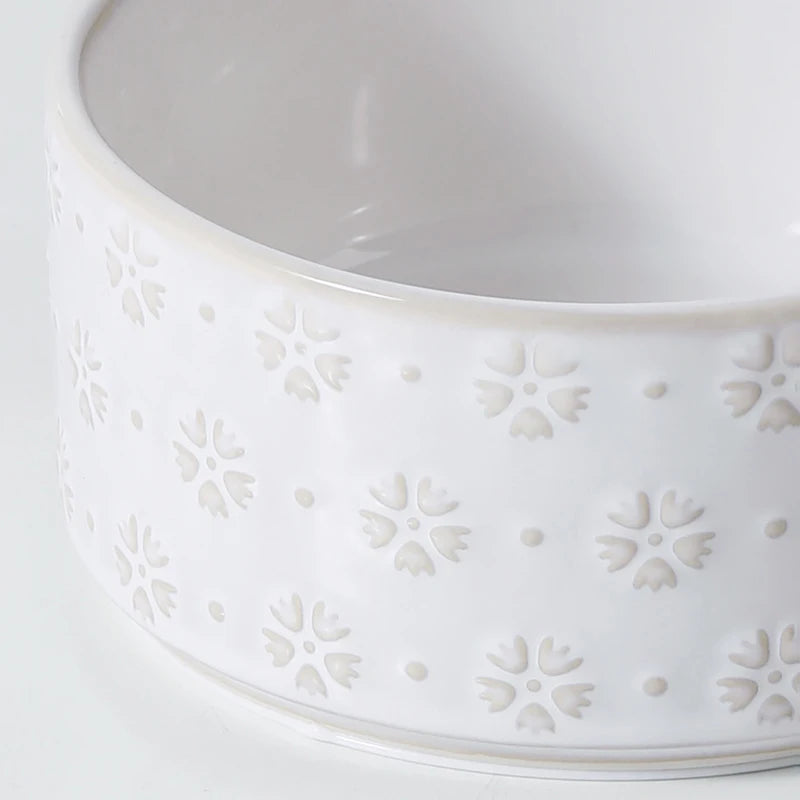 Elevated Dog Feeding Bowl Set