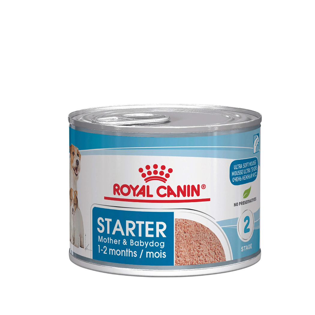 Royal Canin Mother and Babydog Mousse Dog Food Can 195g