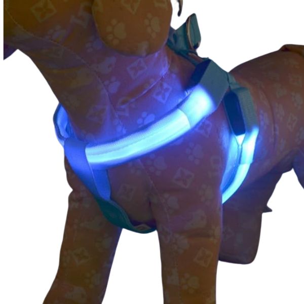 Night LED Dog Harness