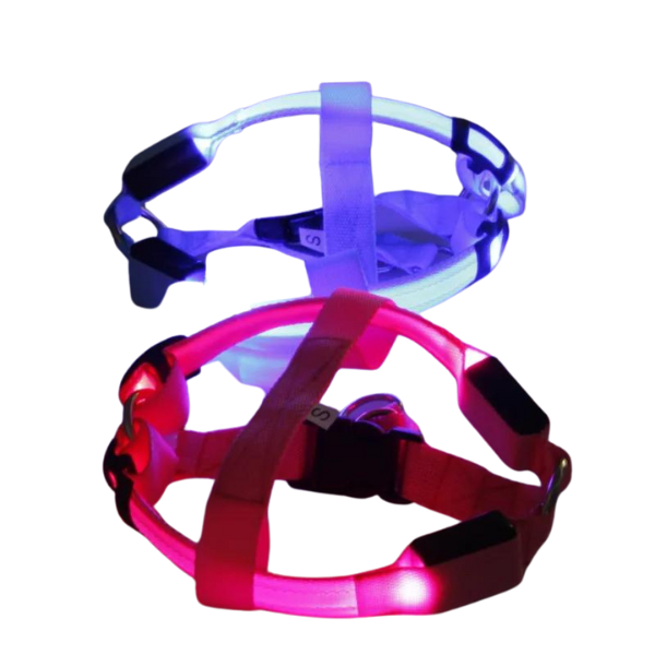 Night Light Up Luminous Dog Harness