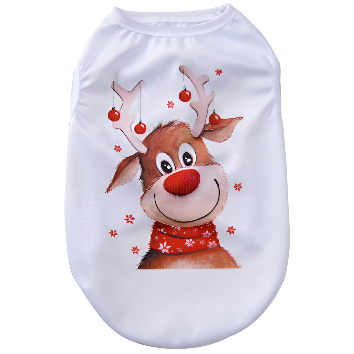 Fun Cat Costumes for Christmas Holidays