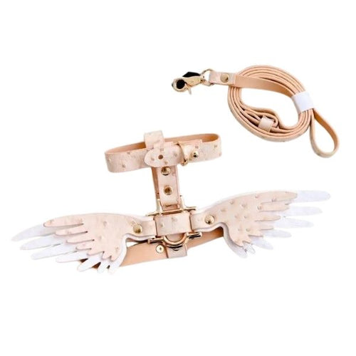 Adjustable Wing Collar & Leash Set for Pets - RPBA Shop